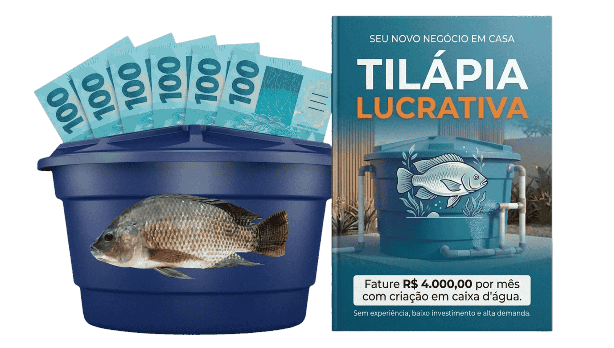 Kit Tilápia Lucrativa